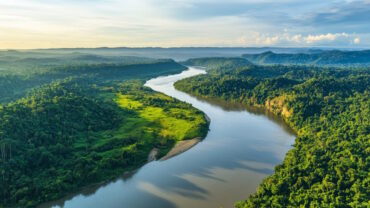 Floresta Amazónica: O Coração Verde do Nosso Planeta
