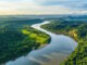 Floresta Amazónica: O Coração Verde do Nosso Planeta