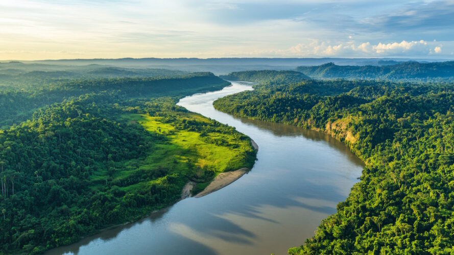 Floresta Amazónica: O Coração Verde do Nosso Planeta